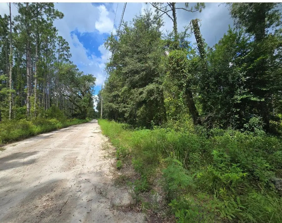 4838 Grantham Hill Road, Perry, FL 32347 - #3