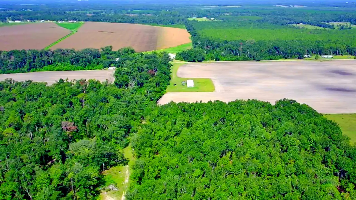 1 acre NE Hickory Grove Road, Pinetta, FL 32350 - #1