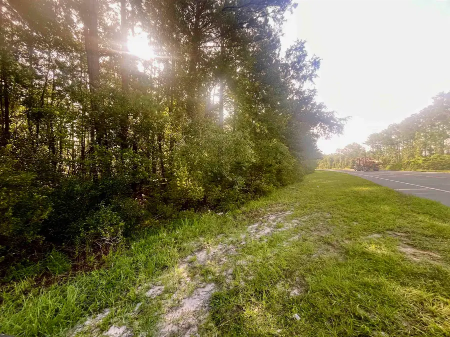 Vacant E Washington Highway, Monticello, FL 32344 - #3