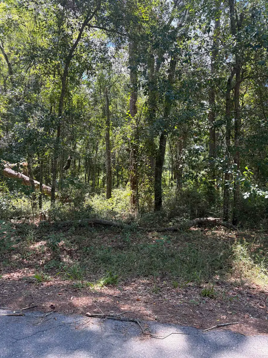 76 Barnes Road, Monticello, FL 32344 - #3