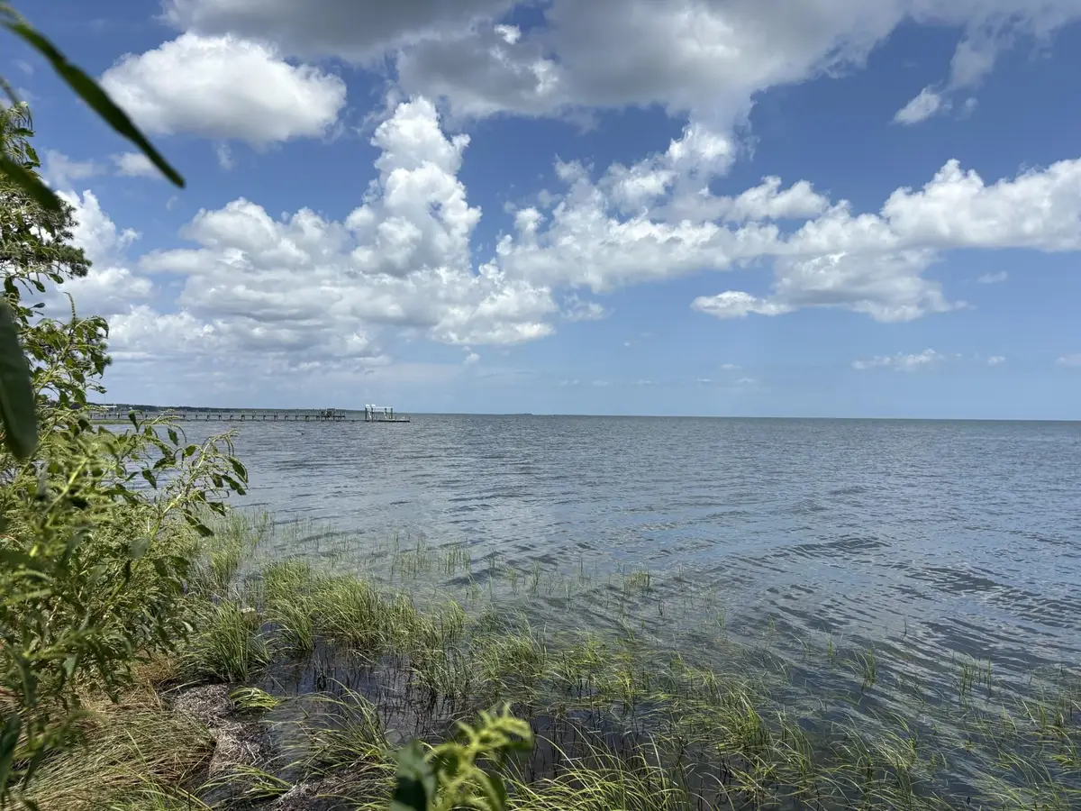2962 E Highway 98 Highway, Carrabelle, FL 32323 - #1