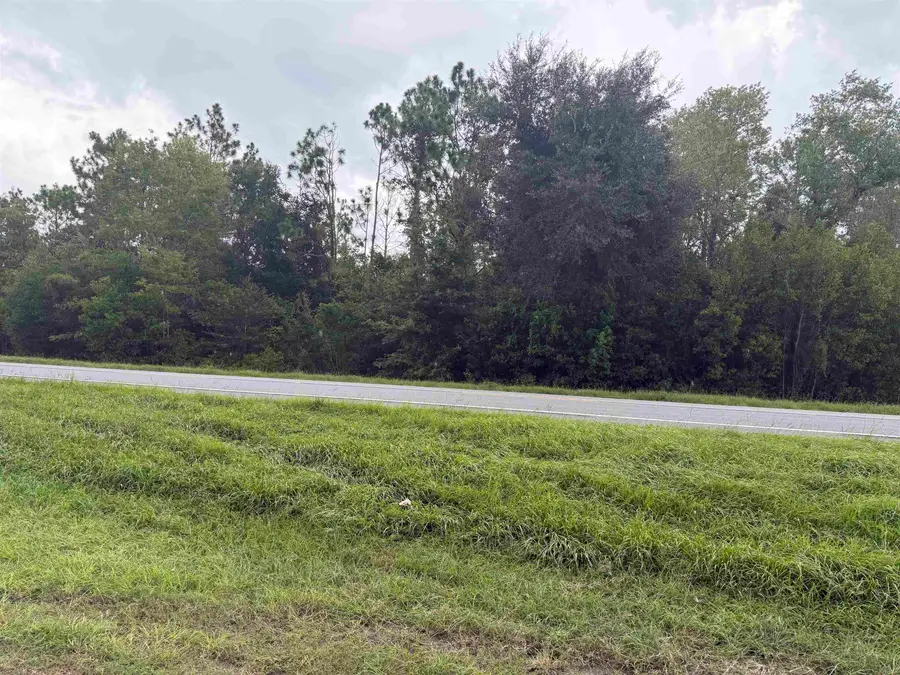 TBD W Us 98, Perry, FL 32347 - #2