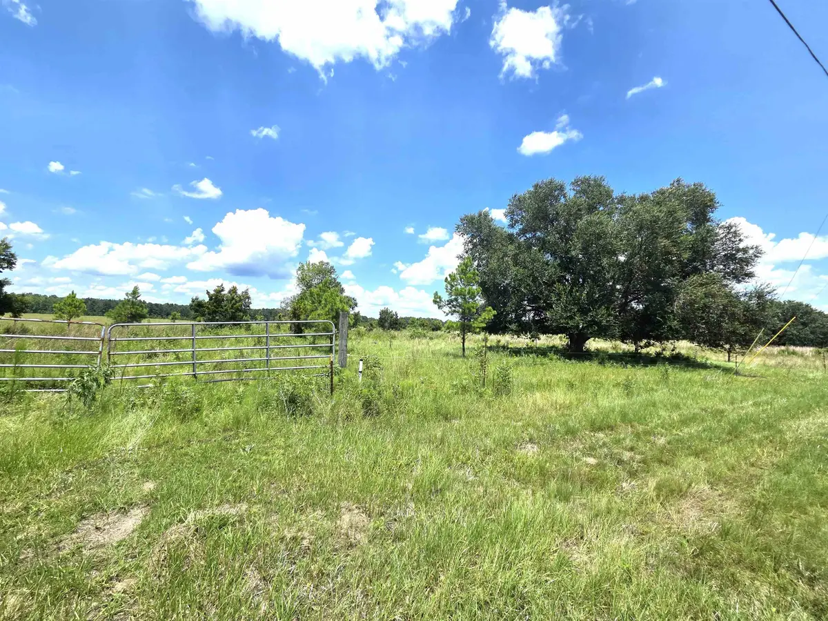 XXX SW Cr 379, Bristol, FL 32321 - #1