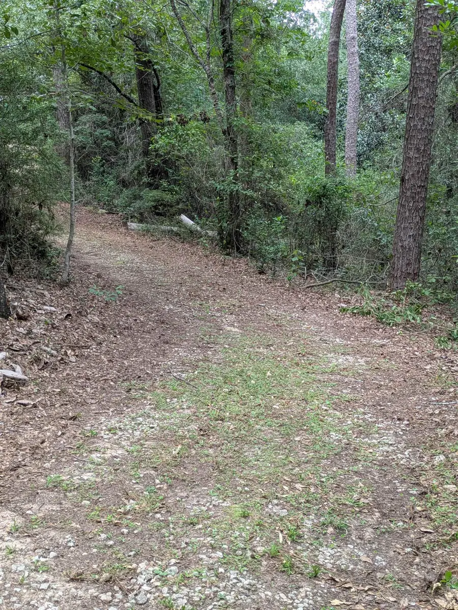 760 Sunday Road, Chattahoochee, FL 32324 - #3
