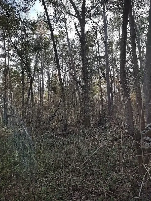 0 Ajax Road, Tallahassee, FL 32311