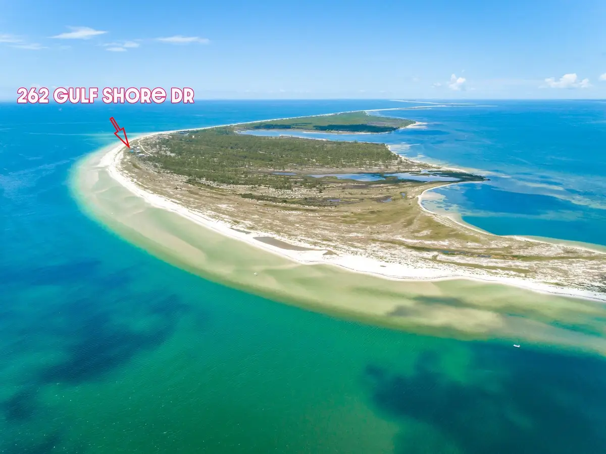 262 Gulf Shore Drive, Carrabelle, FL 32322 - #1
