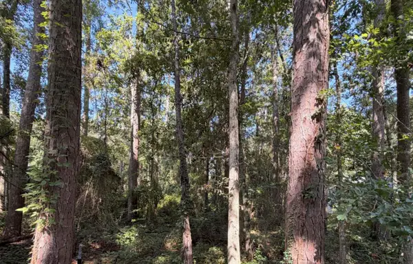 7404 Laurel Ridge Lane, Tallahassee, FL 32312