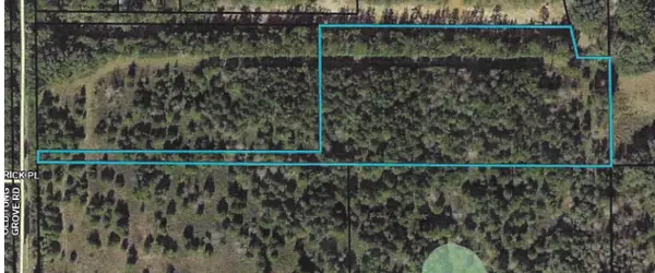 TBD Old Tung Grove Road, Monticello, FL 32344