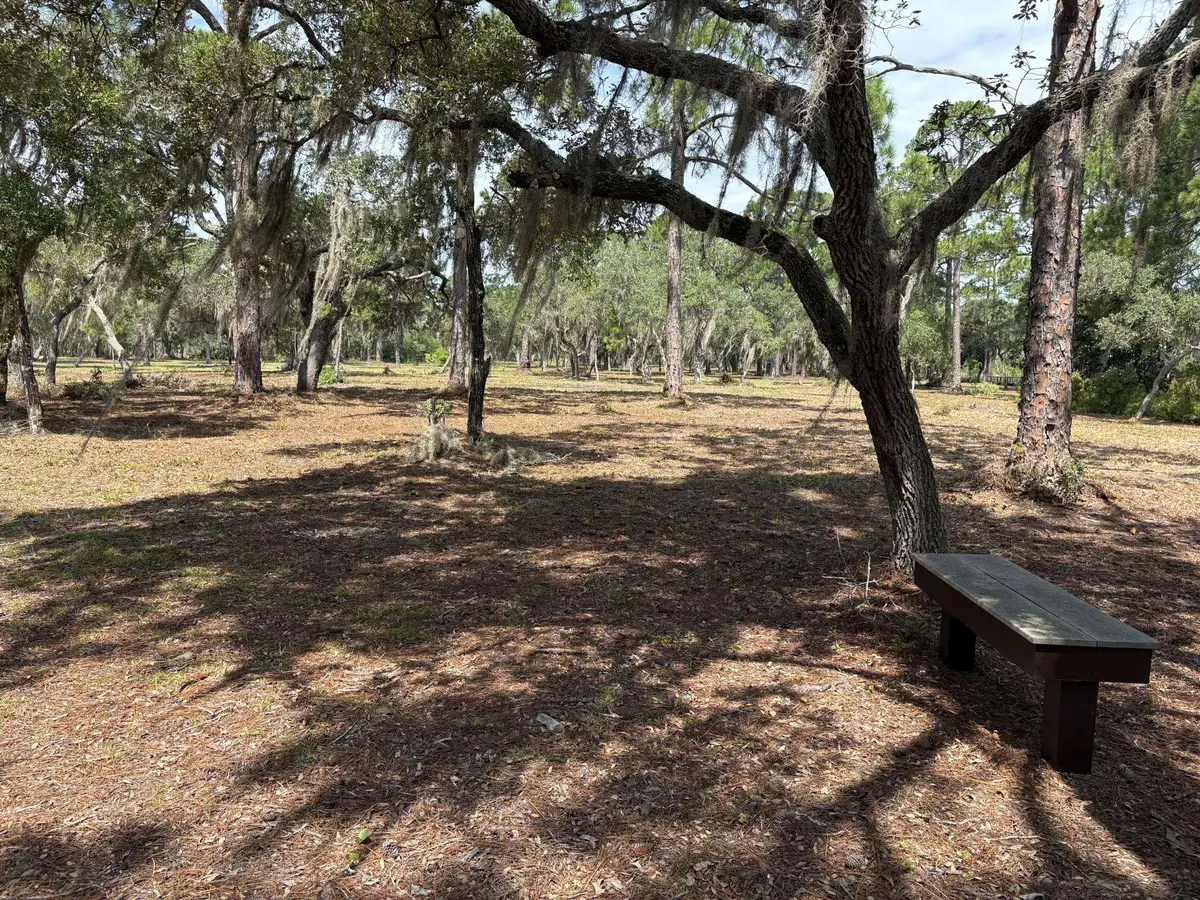 xxxx Rainey Trail Trail, Panacea, FL 32346 - #1