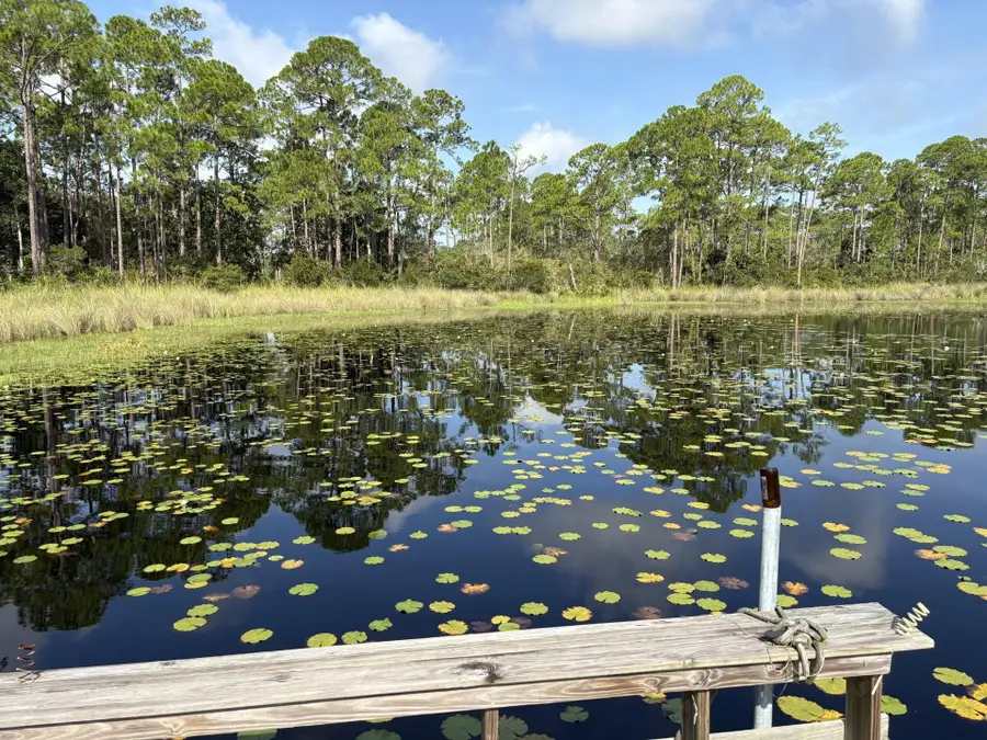 xxxx Rainey Trail Trail, Panacea, FL 32346 - #3