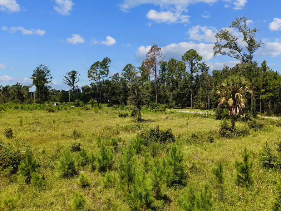 00 W Lyman Hendry Road, Perry, FL 32347 - #2