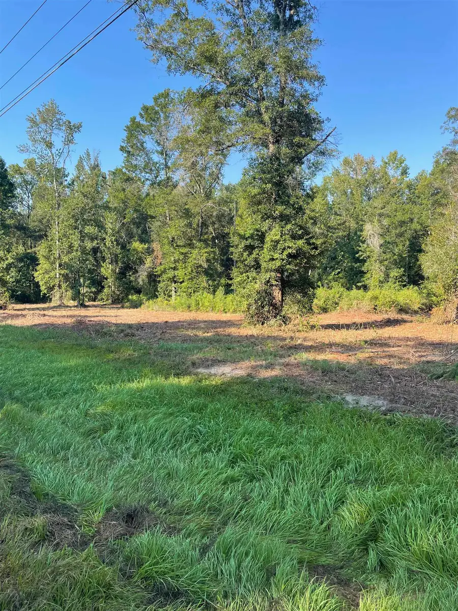 XX Glory Road, Quincy, FL 32352 - #3