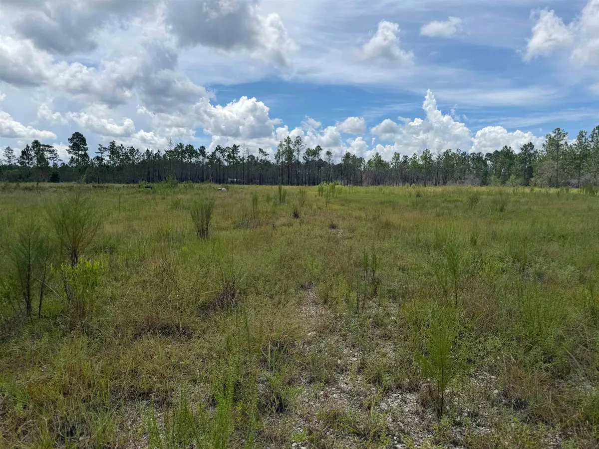 120&136&2.5Acre Longleaf Drive, Sumatra, FL 32321 - #1