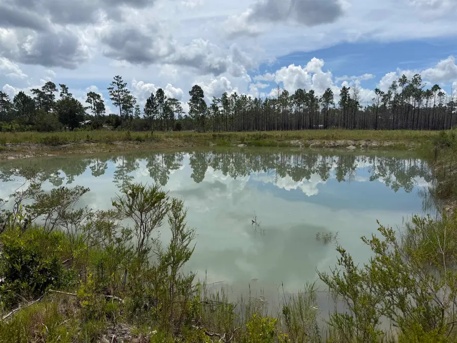 120&136&2.5Acre Longleaf Drive, Sumatra, FL 32321 - #2