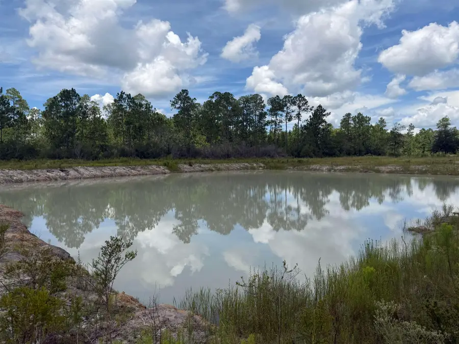 120&136&2.5Acre Longleaf Drive, Sumatra, FL 32321 - #3