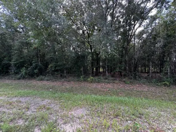 00000 Solomon Dairy Road, Quincy, FL 32332