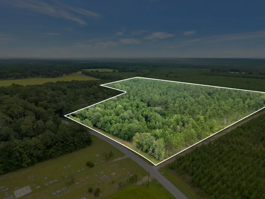 00000 Solomon Dairy Road, Southwest Leon, FL 32332 - #2