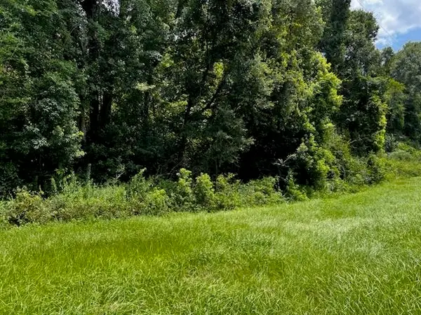 0000 Solomon Dairy Road, Quincy, FL 32351