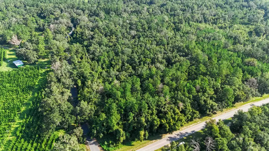 XXX Ashville Hwy, Monticello, FL 32344 - #2
