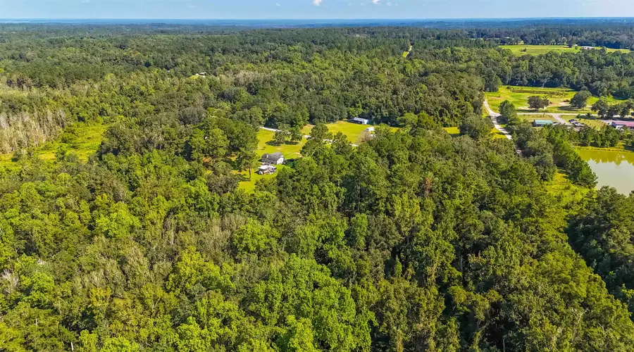 XXX Vista Road, Monticello, FL 32344 - #3