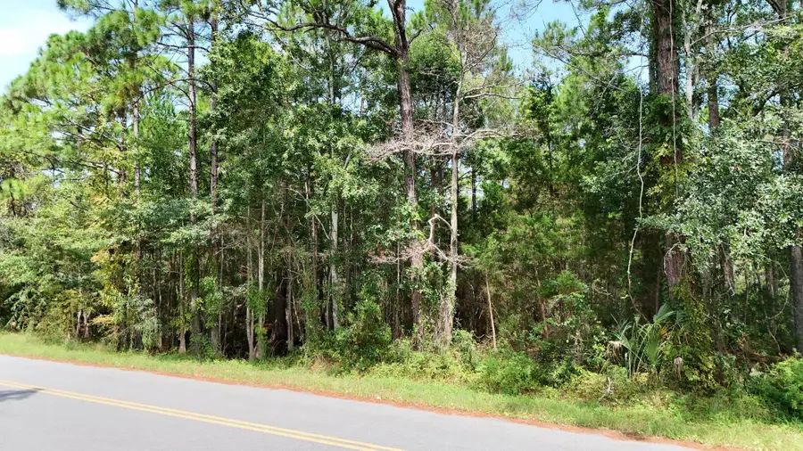 x Joe Mack Smith Street, Panacea, FL 32346 - #2