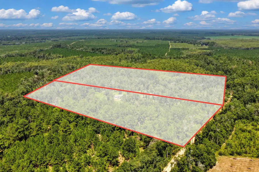 1897 NW Radford Denson Road, Greenville, FL 32331 - #2