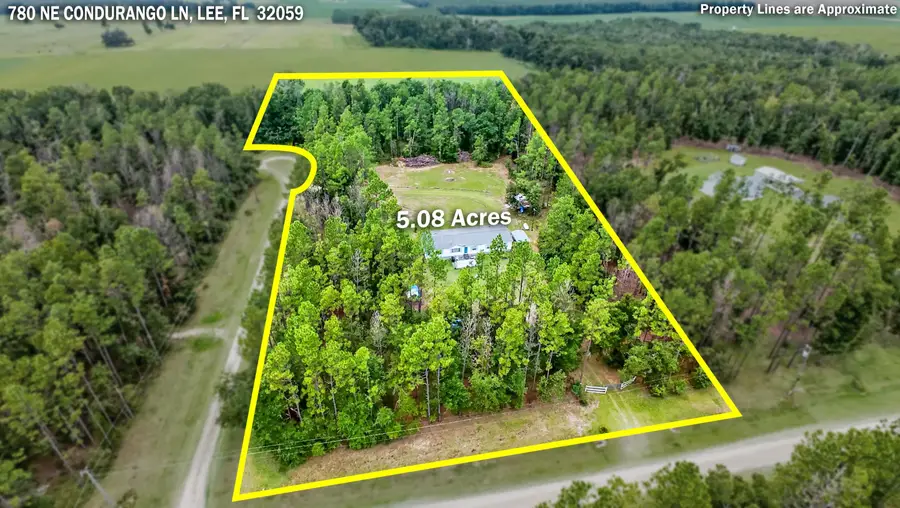 780 NE Condurango Lane, Lee, FL 32059 - #2