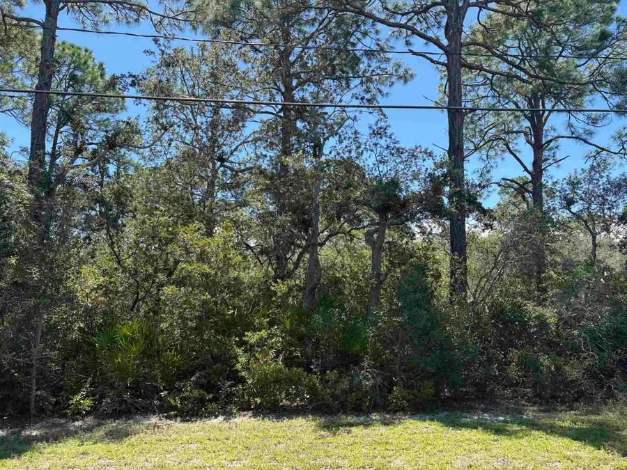 0 Monocoupe Drive, Panacea, FL 32346 - #2