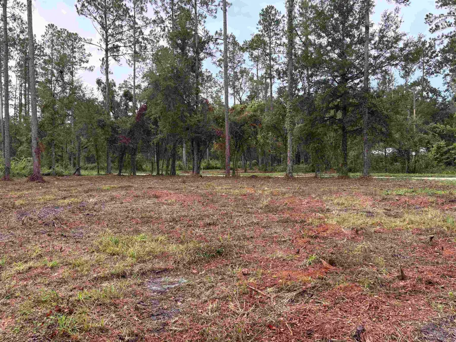 000 Walker Springs Rd., Monticello, FL 32344 - #2