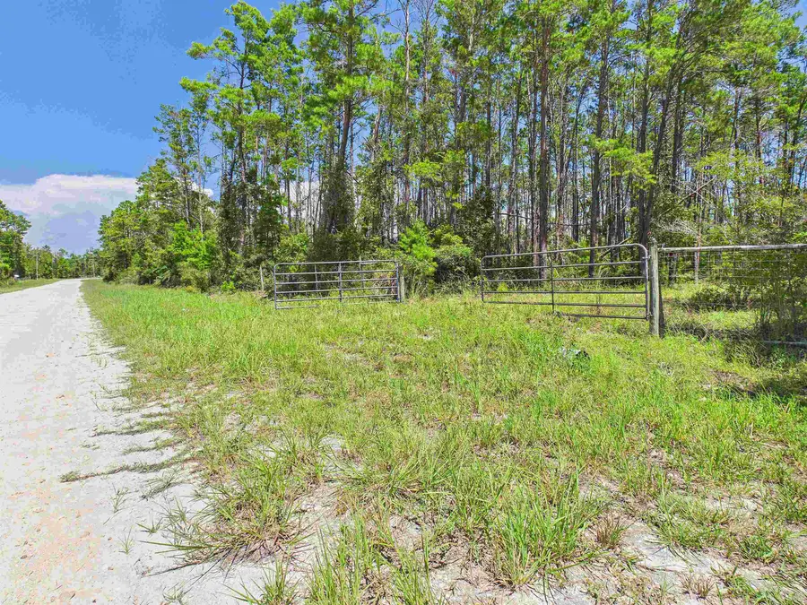 13845 N Gulf Manor Road, Perry, FL 32348 - #2