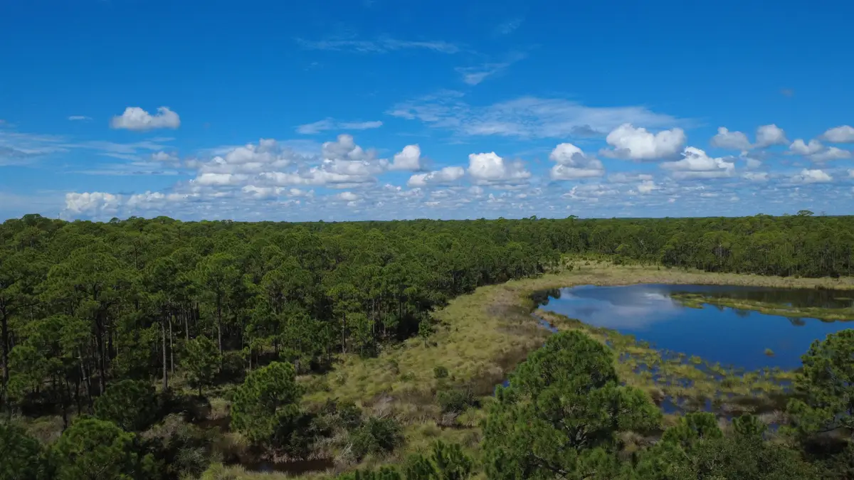 667 Bald Point Road, Alligator Point, FL 32346 - #1
