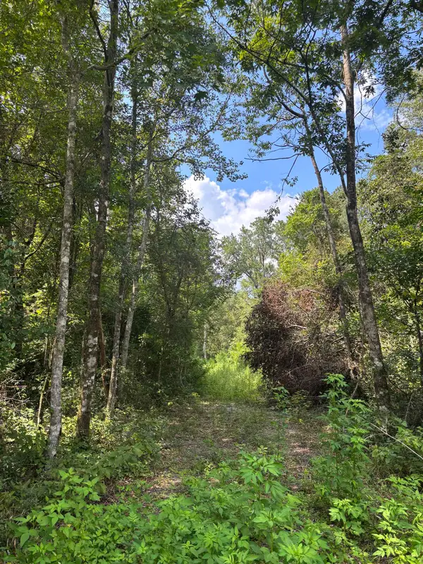 727 Mill Road, Carrabelle, FL 32322