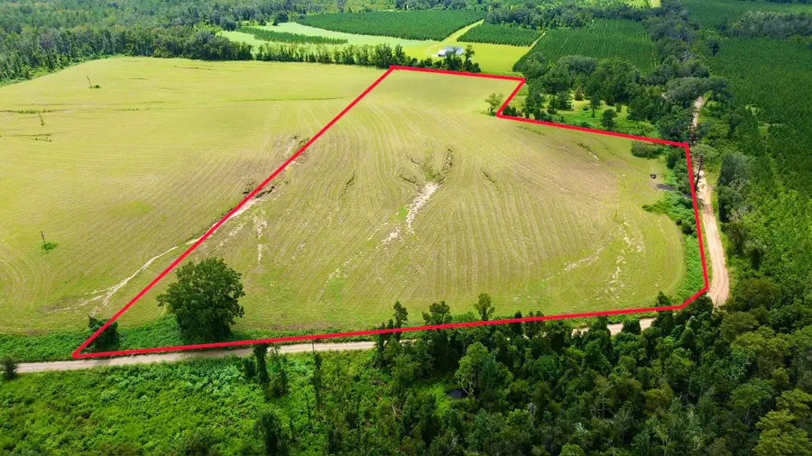 Vacant SW Deland Loop, Greenville, FL 32331 - #2