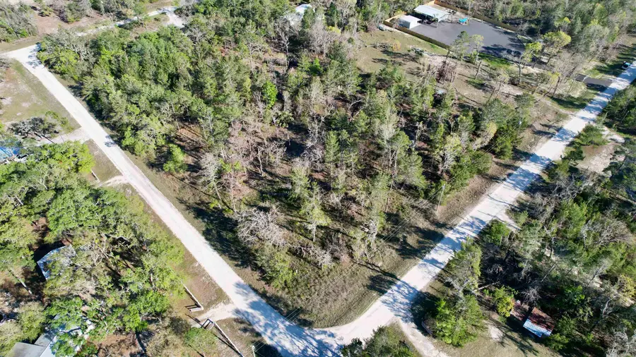 15724 Reed Drive, Perry, FL 32348 - #2