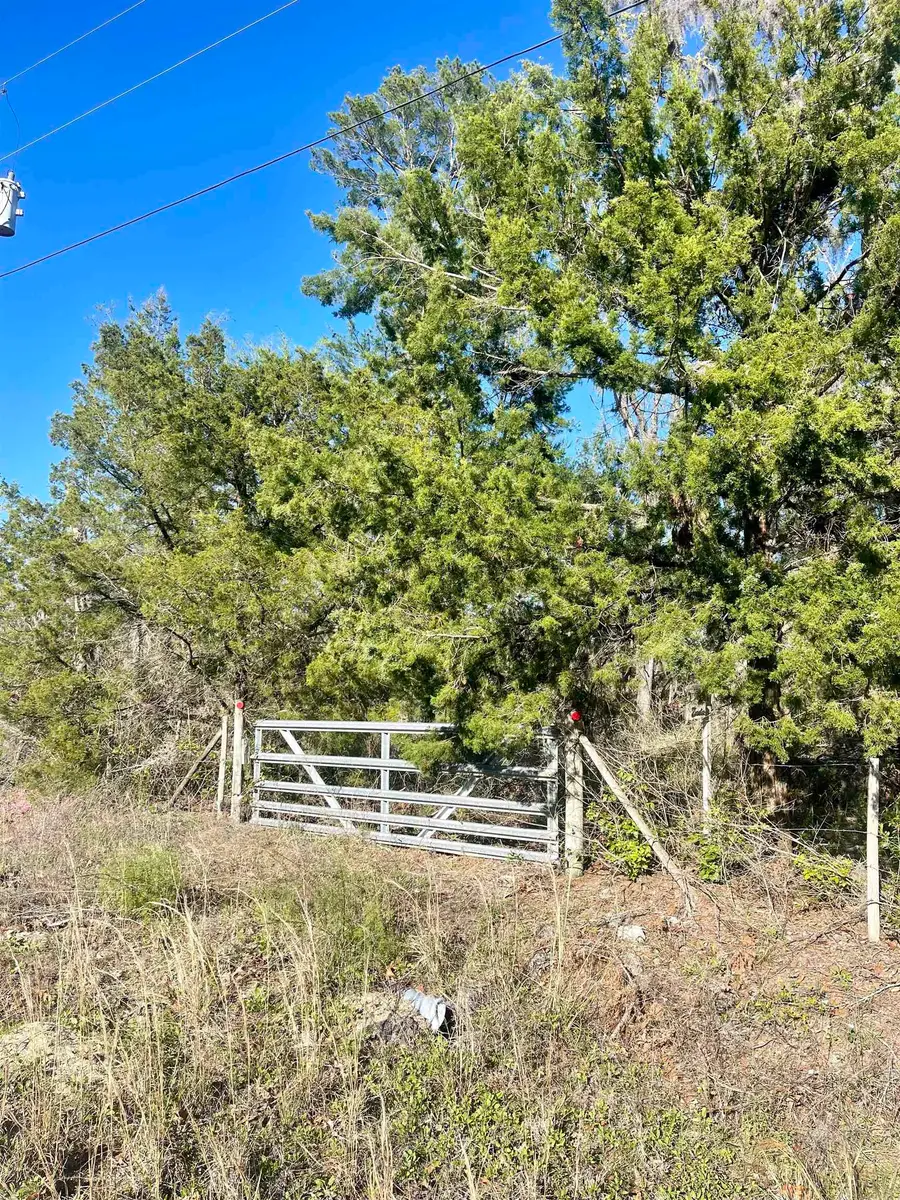 15724 Reed Drive, Perry, FL 32348 - #3