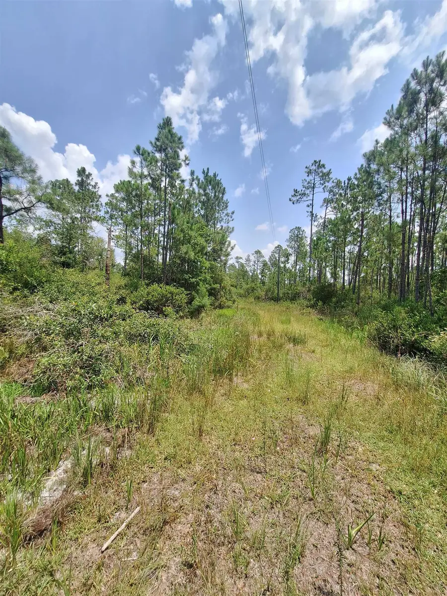 TBD Wildcat Road, Perry, FL 32348 - #2