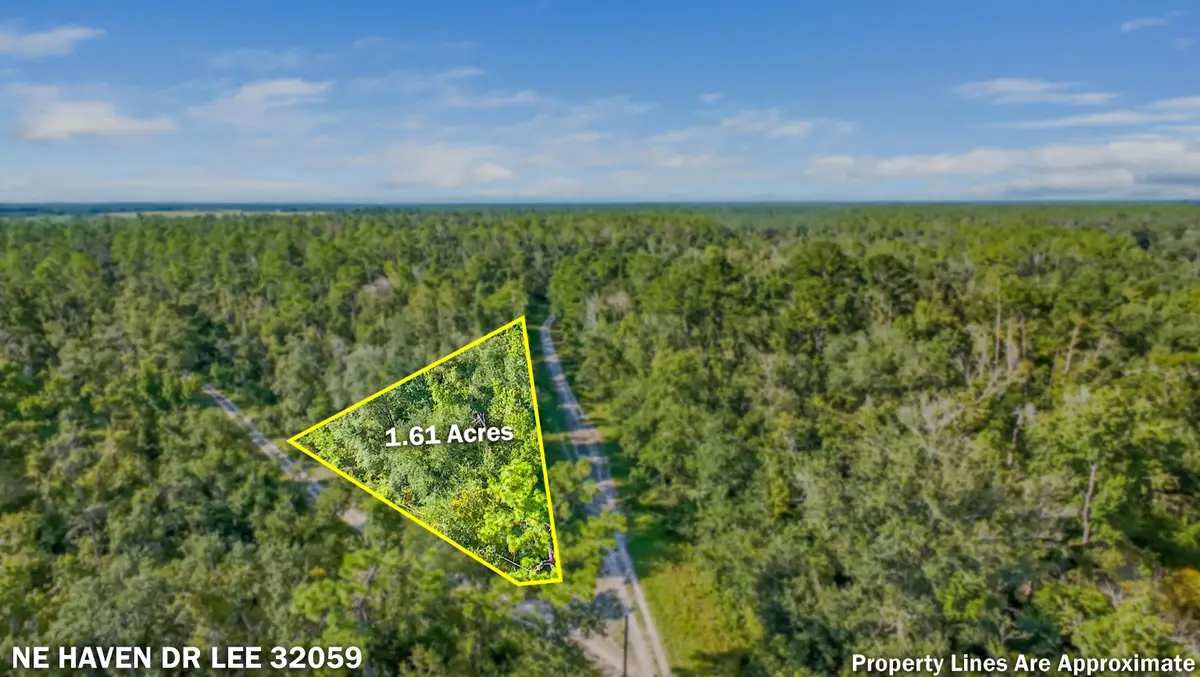 296 NE Haven Drive, Lee, FL 32059 - #1