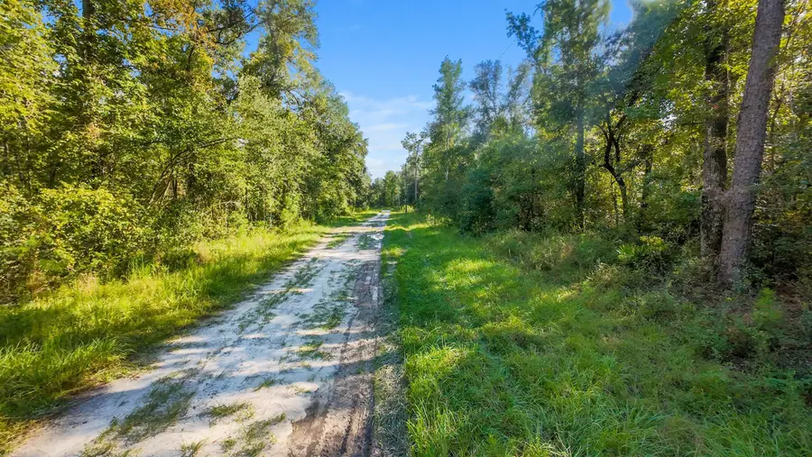 296 NE Haven Drive, Lee, FL 32059 - #3