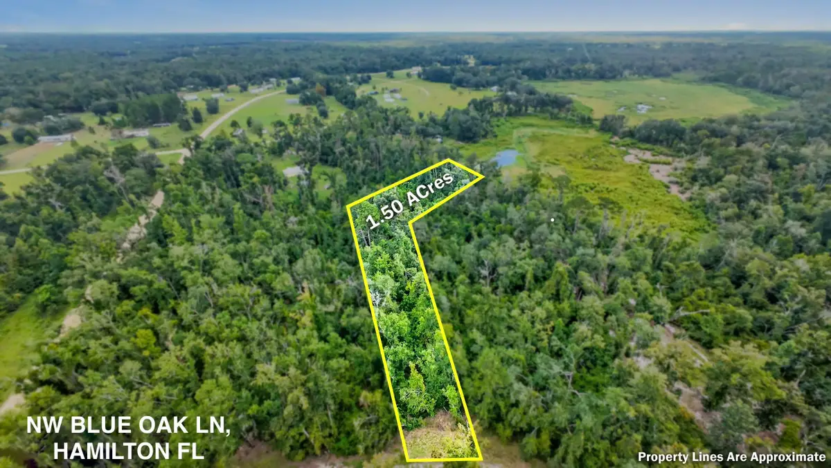 Vacant NW Blue Oak Lane, Jennings, FL 32053 - #1