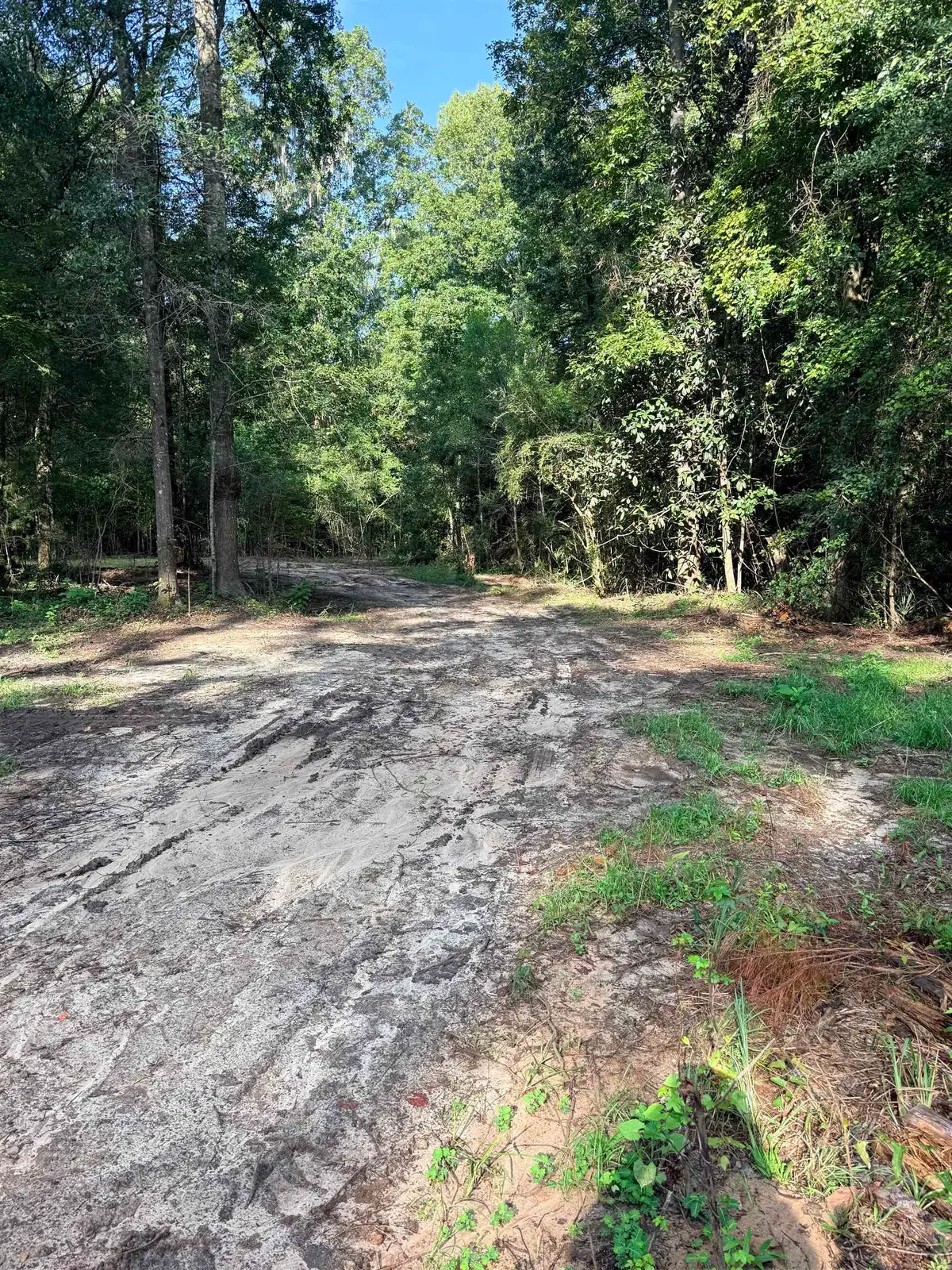 349 Green Oaks Road, Havana, FL 32333 - #1