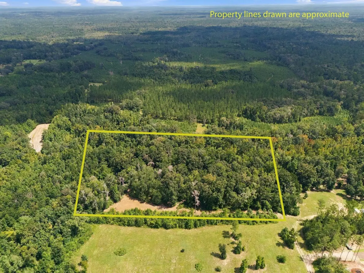 Lot 16 Johnny Rd, Lamont, FL 32336 - #1