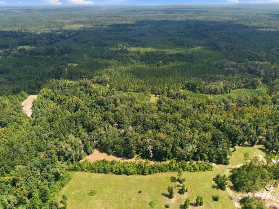 Lot 16 Johnny Rd, Lamont, FL 32336 - #2
