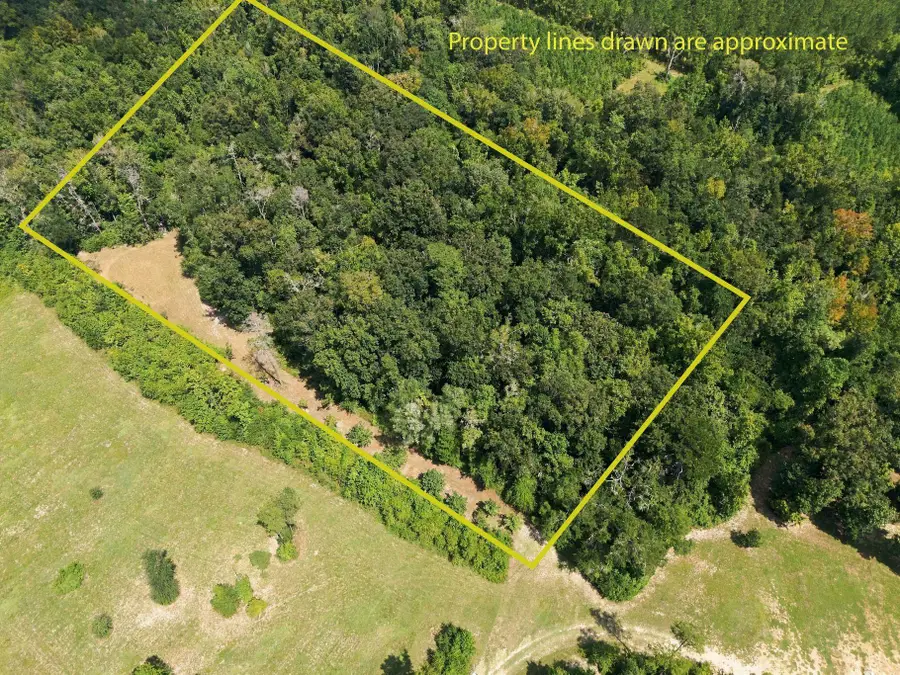 Lot 16 Johnny Rd, Lamont, FL 32336 - #3