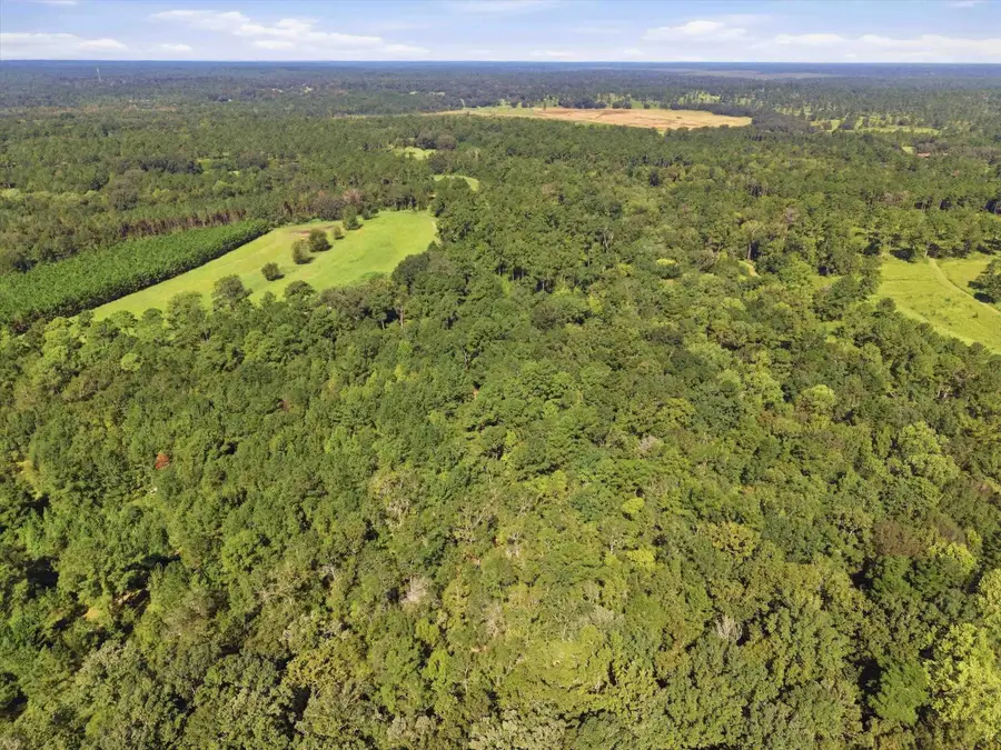 XXX Moccasin Gap Road, Tallahassee, FL 32309 - #2