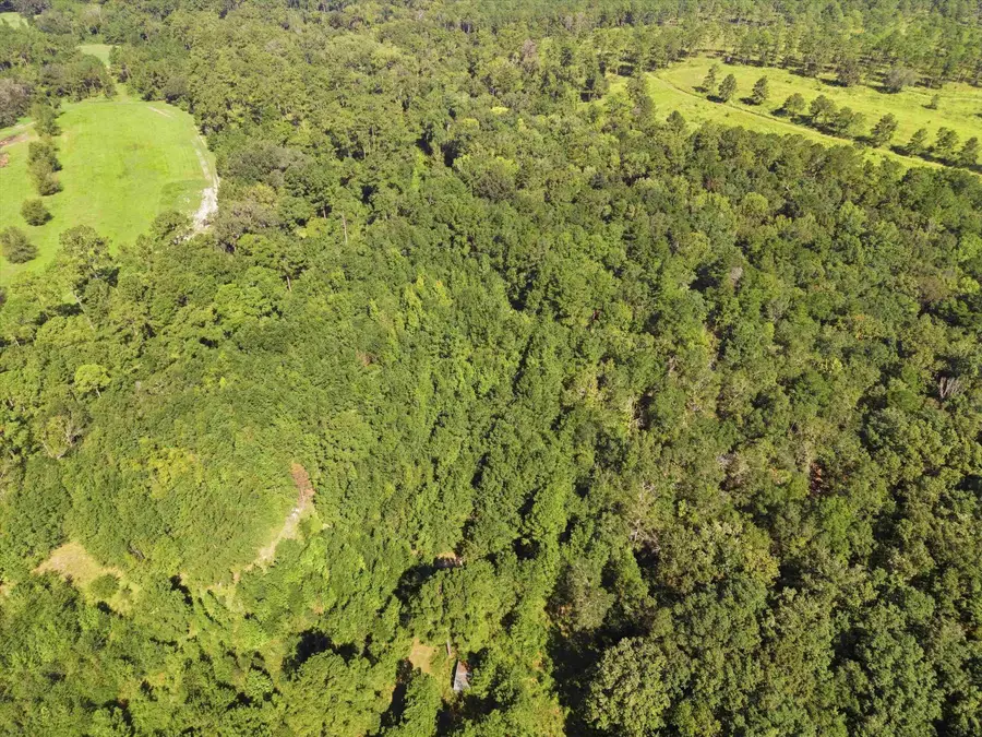 XXX Moccasin Gap Road, Tallahassee, FL 32309 - #3