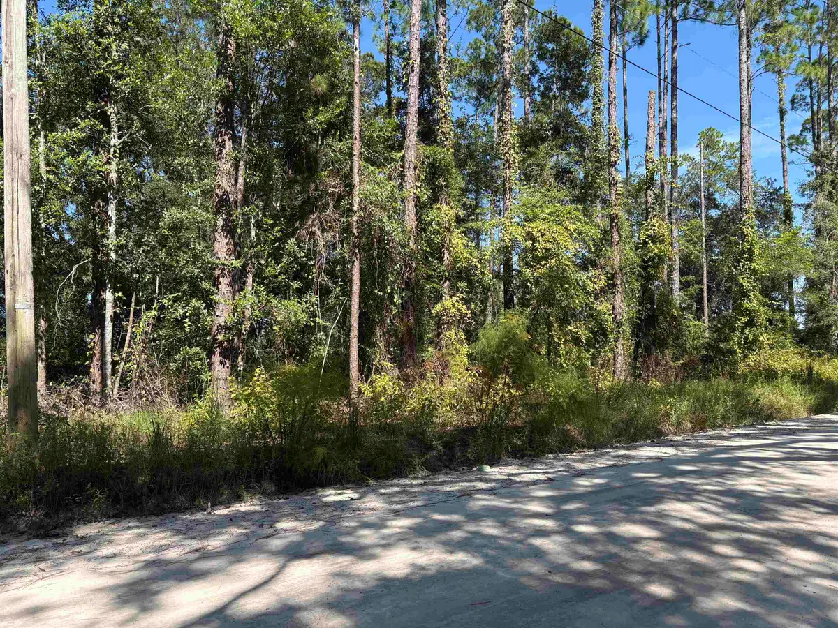 0000 Vacant Walker Springs Rd, Monticello, FL 32344 - #1
