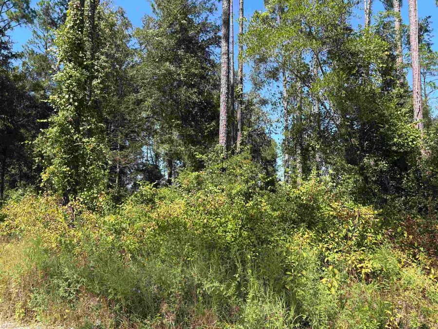0000 Vacant Walker Springs Rd, Monticello, FL 32344 - #3