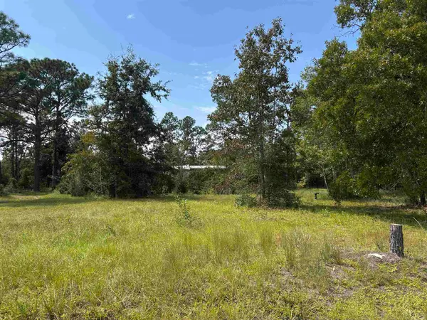 x Griffin Road, Crawfordville, FL 32327