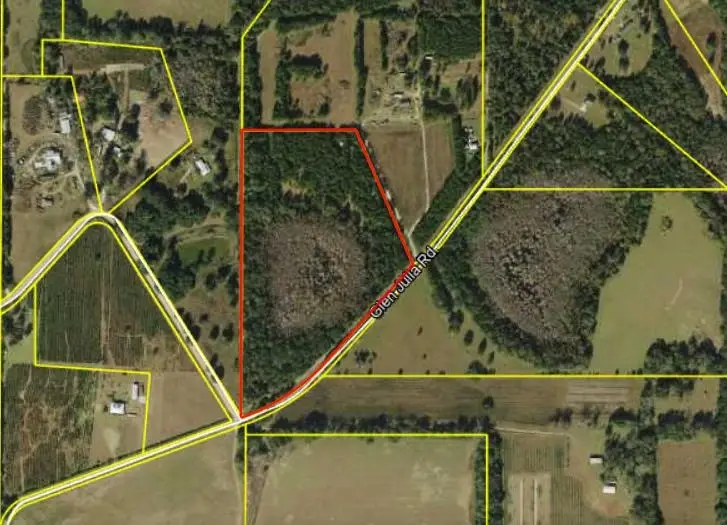 1905 Glen Julia Road, Quincy, FL 32352 - #1