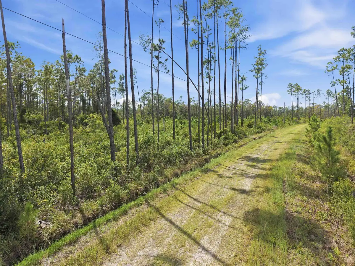 Tract 76 Circle Block Loop, Perry, FL 32348 - #1